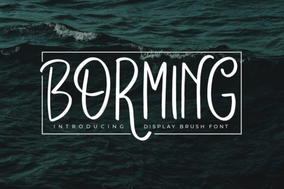 Borming: The Font That Elevates Your Digital Brand